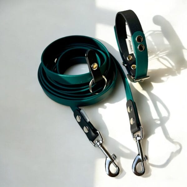 Stroberi rinkinys šuniukui