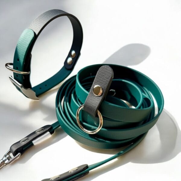 Stroberi rinkinys šuniukui