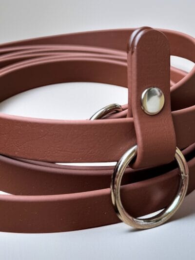 stroberi rudas pavaddelis