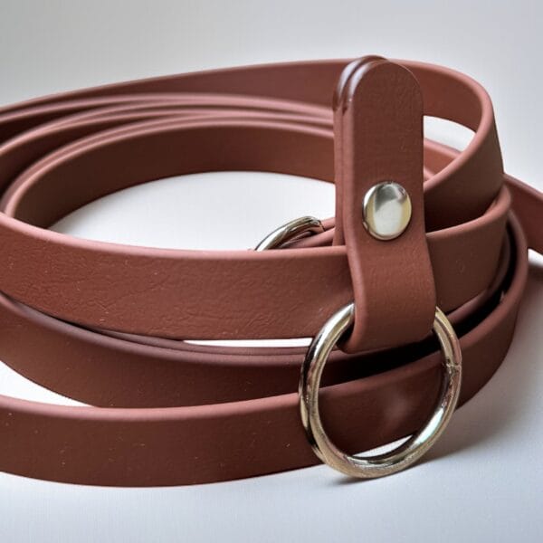 stroberi rudas pavaddelis