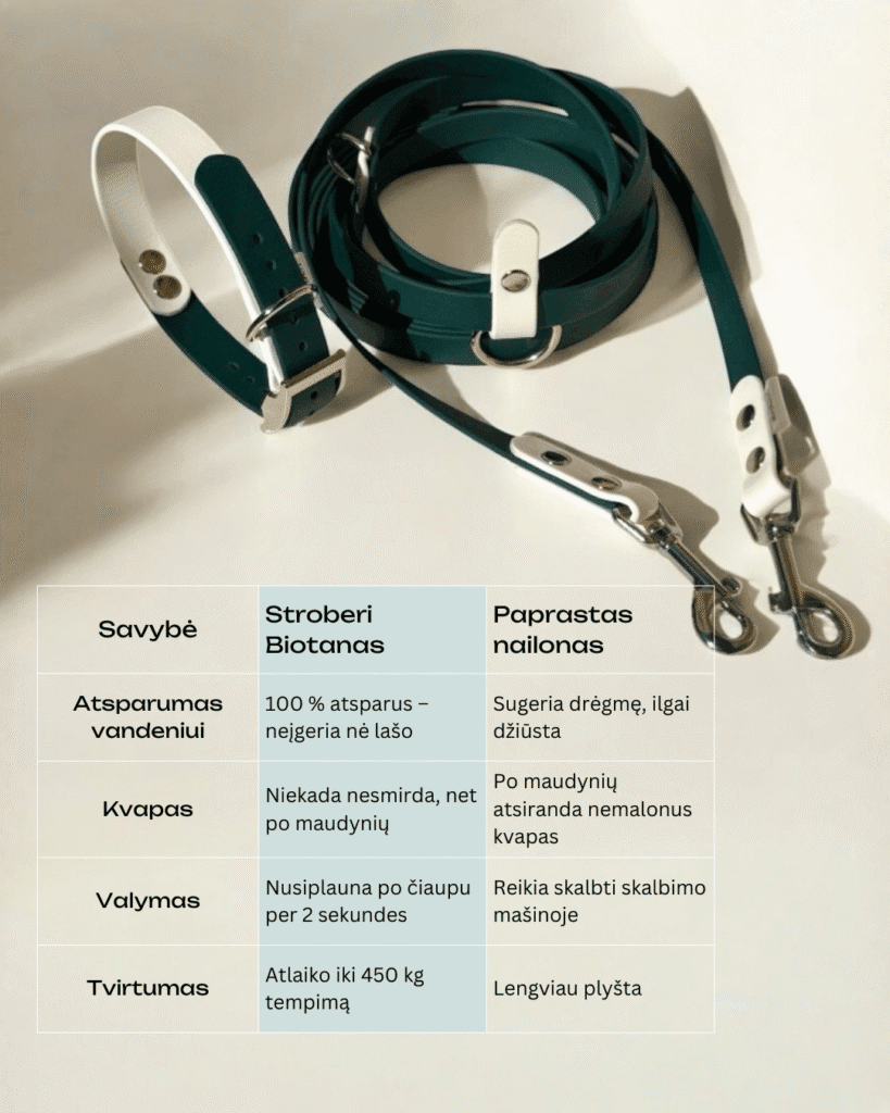 stroberi biotano pavadelis augintiniams