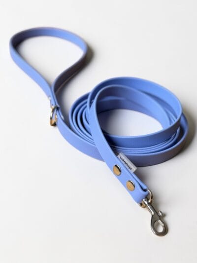 lengvas pavadelis stroberi