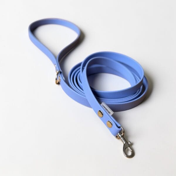 lengvas pavadelis stroberi