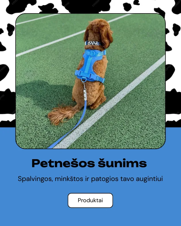 Stroberi sunims