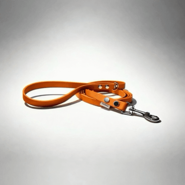 Biotaninis pavadėlis