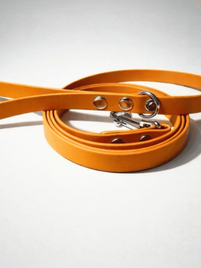 Biotaninis pavadėlis