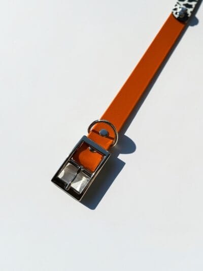 Antkaklis Moo Orange