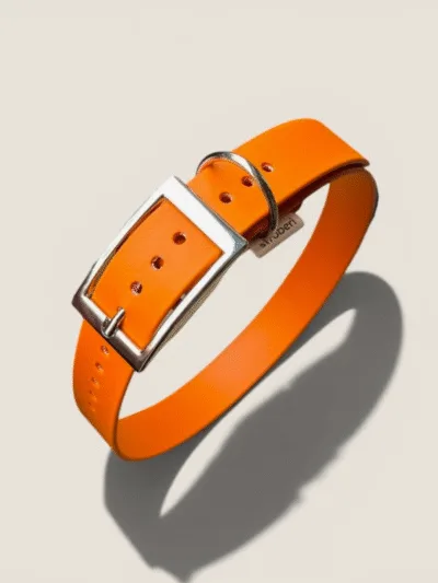 Biotano antkaklis Orange MAXI