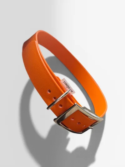 Biotano antkaklis Orange